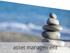 Asset Management